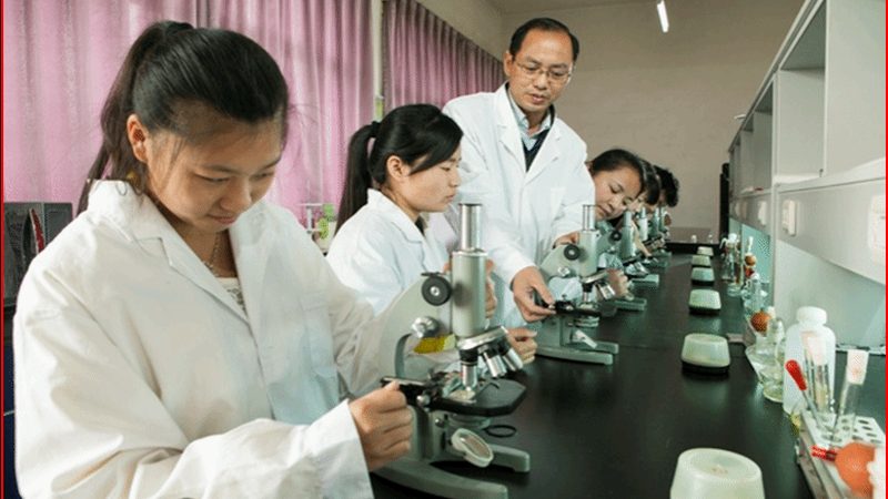 药品代理新手的四大关键点**