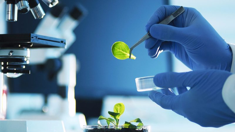 植物胶囊与明胶胶囊：适用人群差异解析**