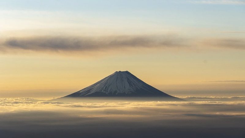 药用辅料区域代理加盟：政策解读与加盟指南**