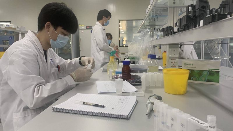 植物提取物超声波辅助提取：揭秘高效提取的关键参数**