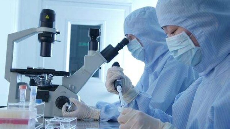 中药提取物提取工艺参数解析：关键因素与质量控制