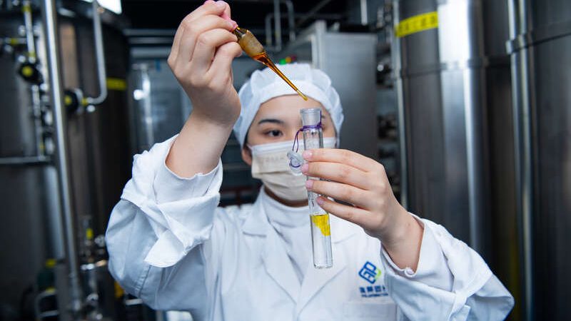 药用辅料分类与标准解析